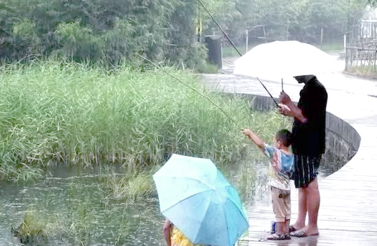 秋季下雨天钓鱼技巧(秋季下雨天最适合钓什么鱼)