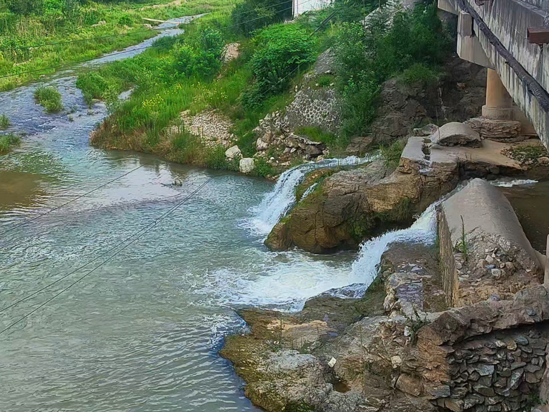 来宾路亚标点(违反禁止标线指示11170)