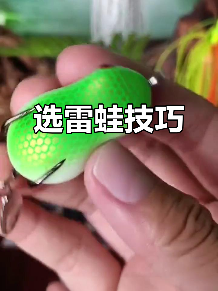鱼猎逗钓雷蛙技巧(渔猎雷蛙大全) 鱼猎逗钓雷蛙技巧(渔猎雷蛙大全)