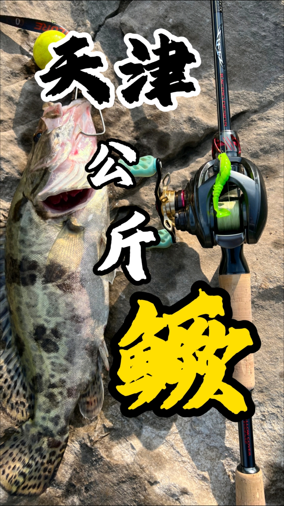 路亚钓桂鱼视频教程(路亚桂鱼怎么钓)