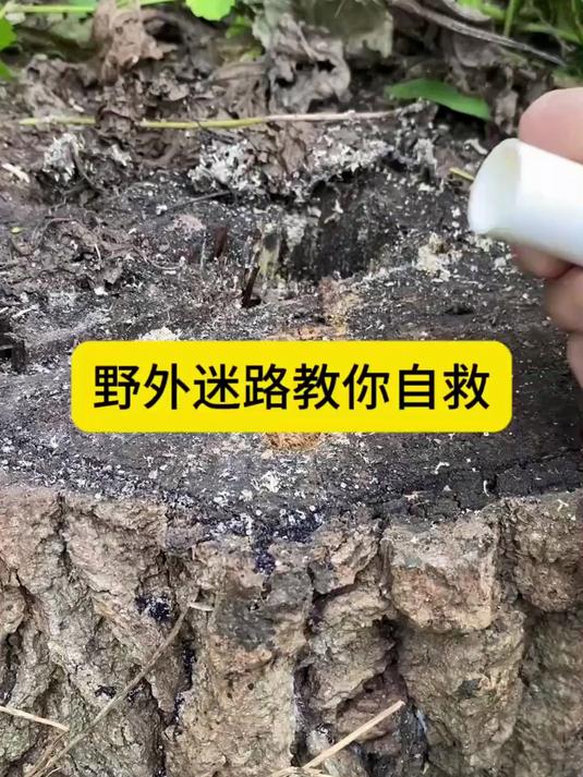 野外技巧(野外技巧英语) 野外技巧(野外技巧英语)