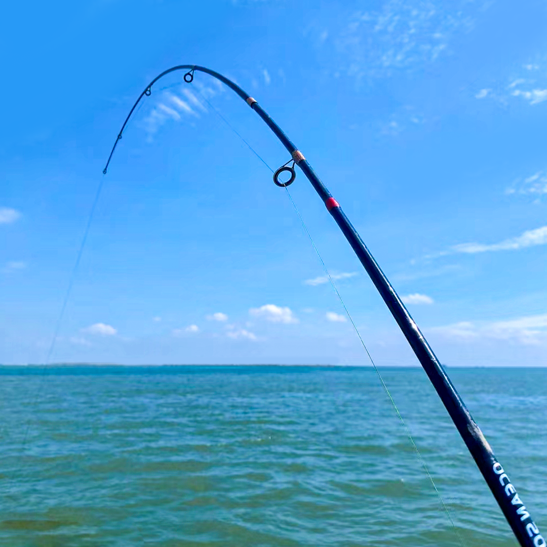 武汉渔具好卖吗(武汉渔具店最多的一条街在哪里?)