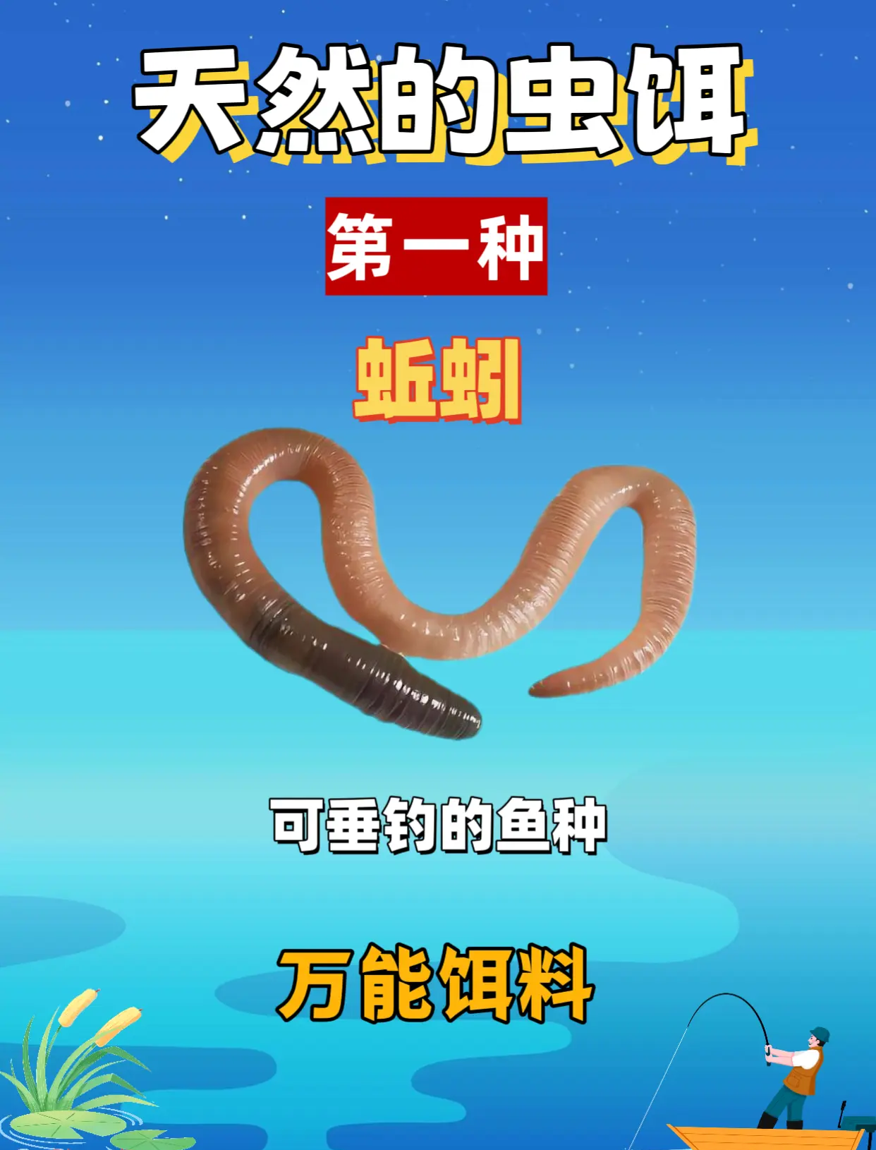 滇池饵料用什么(滇池钓鱼用什么饵料)