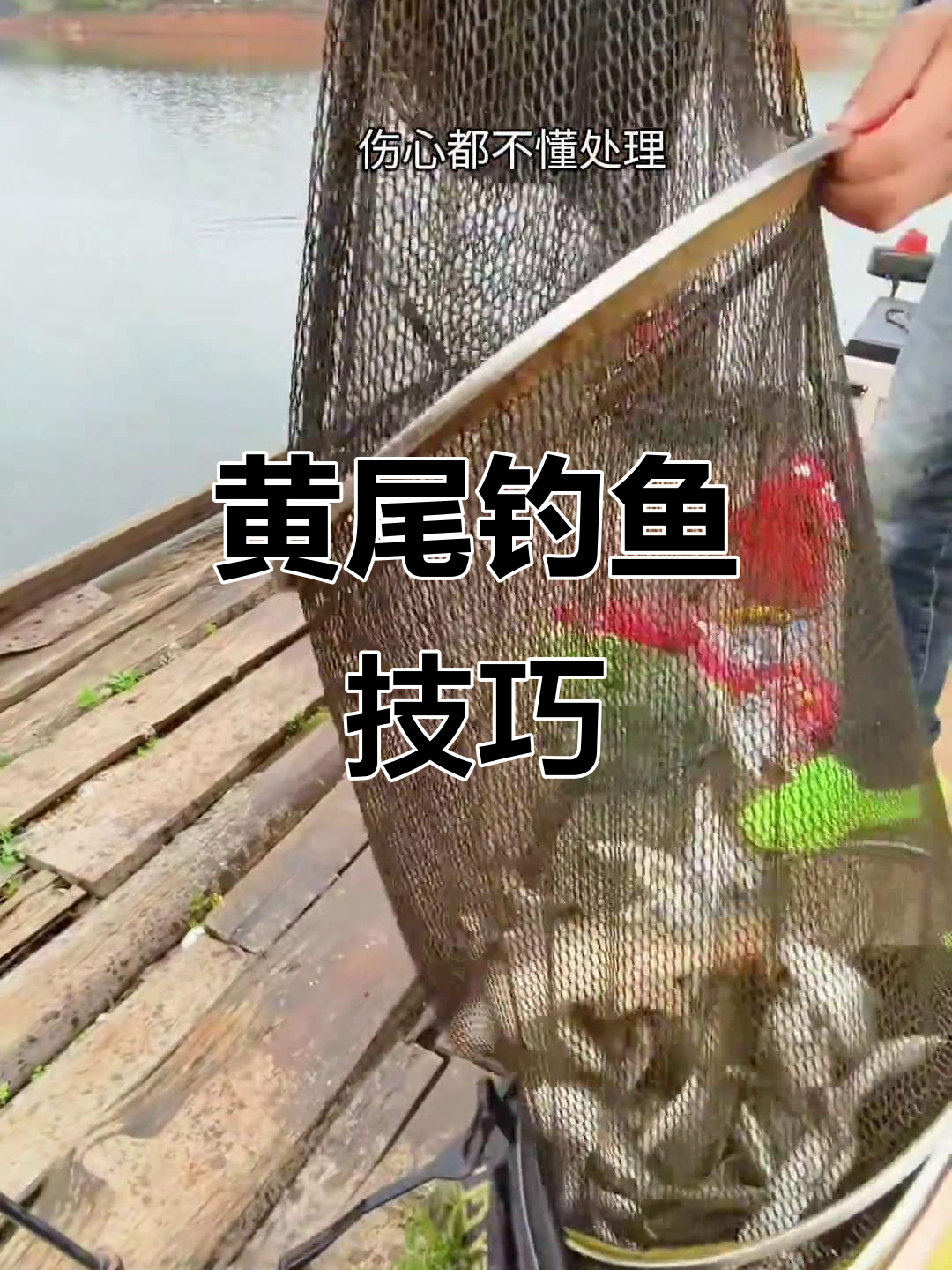 路亚钓黄尾技巧(路亚能不能钓到黄尾鱼)