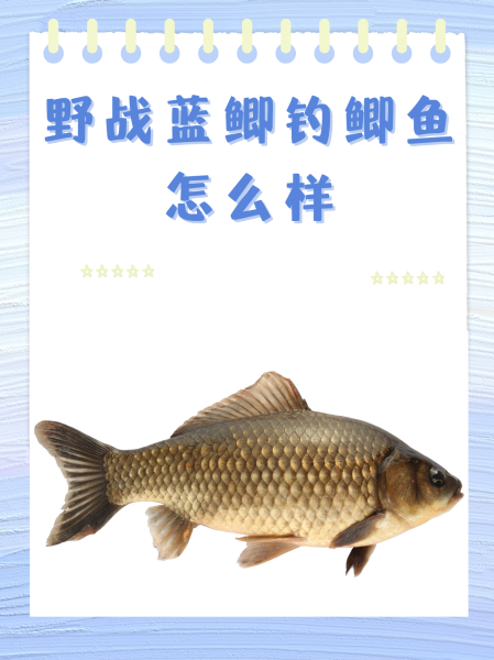 比赛钓小鲫鱼技巧(钓鱼比赛用什么饵料)