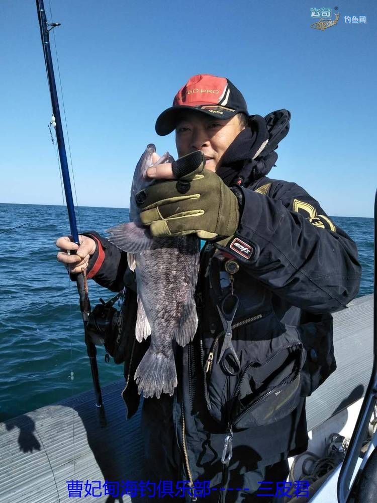 曹妃甸海钓(曹妃甸海钓最厉害三个地方)