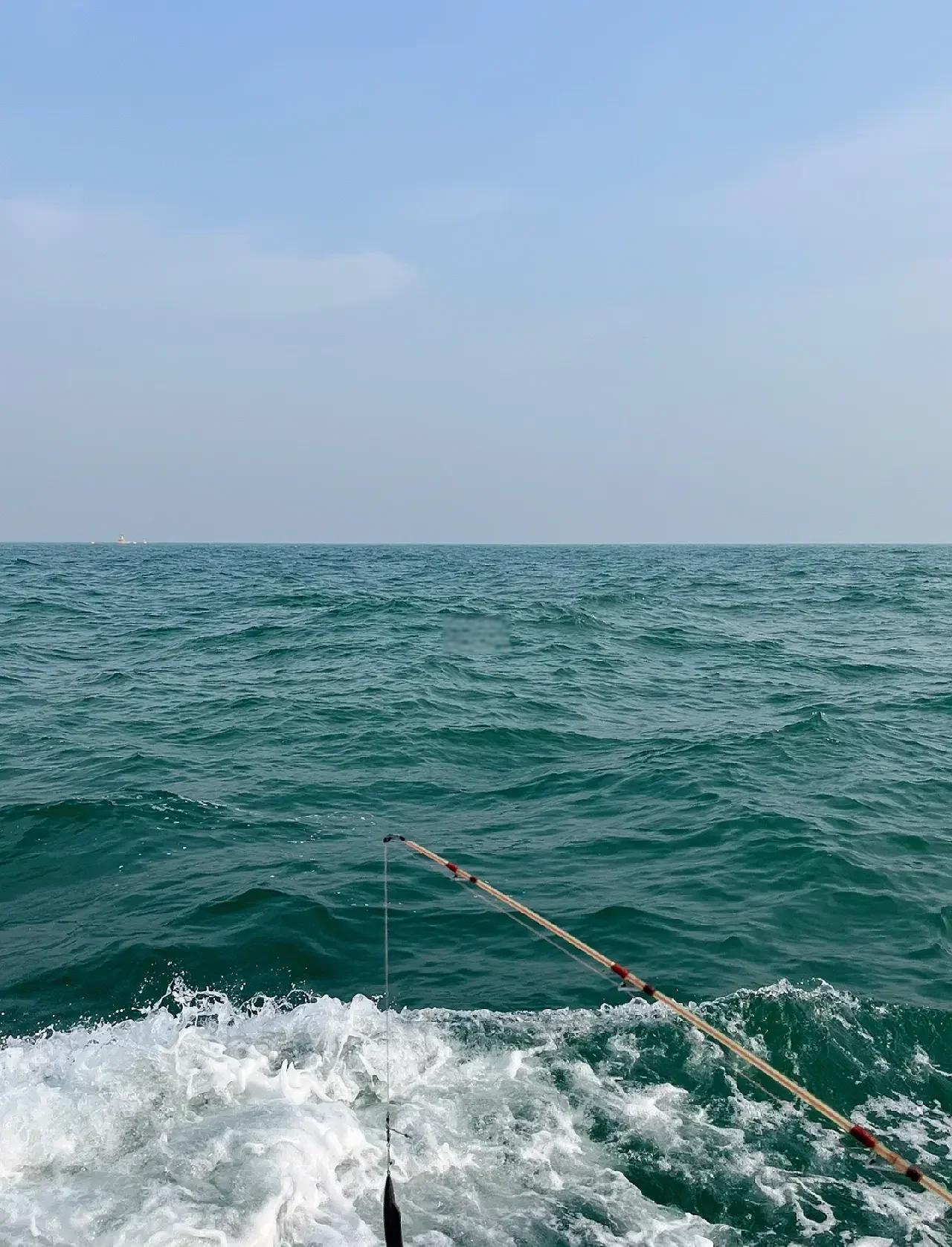 北方初春海钓(北方海钓什么季节钓什么鱼)