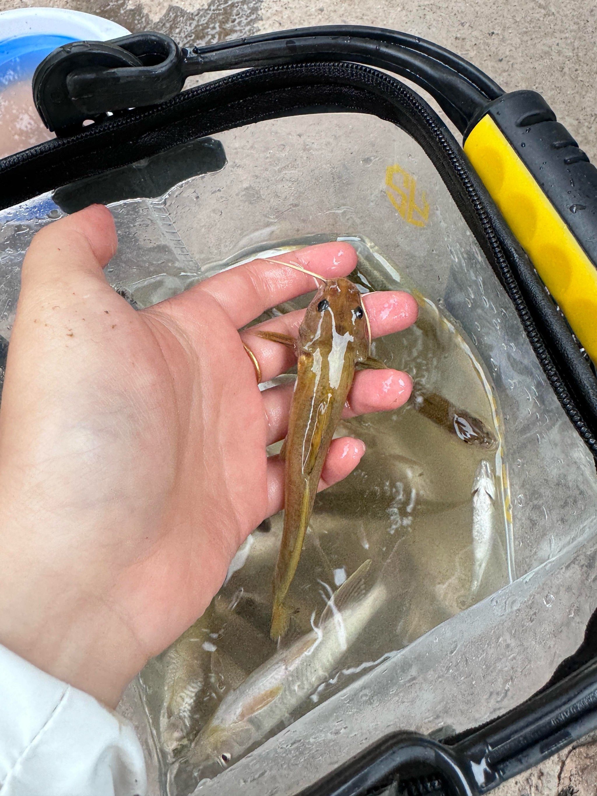 上海钓不到鱼(上海钓不到鱼的地方)