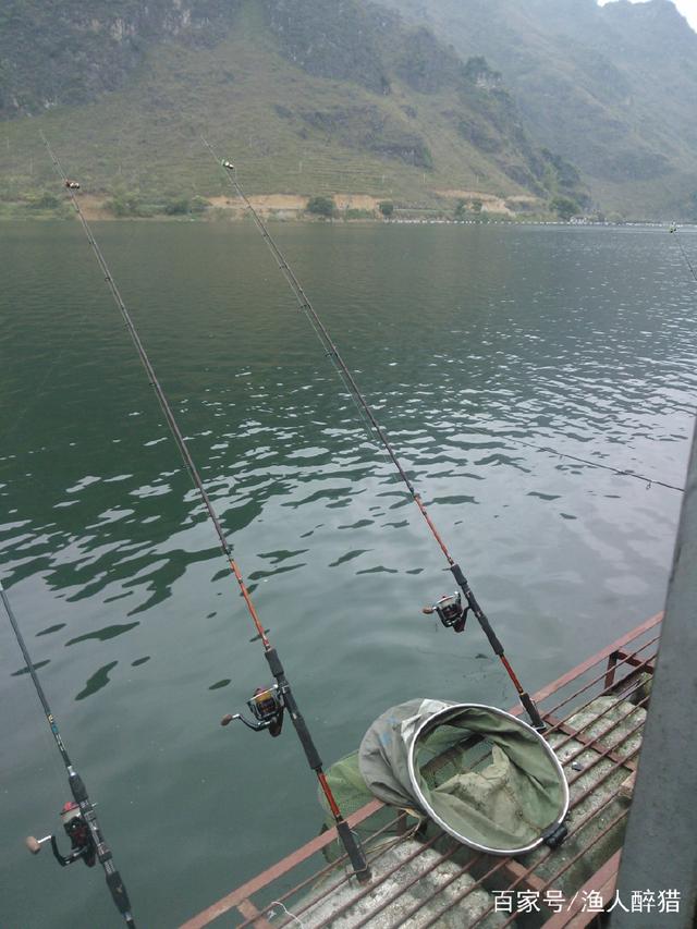 玉米抛投打窝技巧(抛竿玉米)