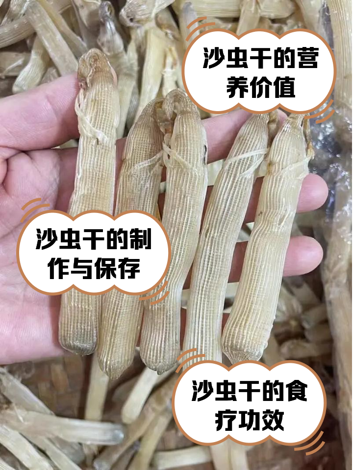 沙蚕保存技巧(沙蚕保存方法)