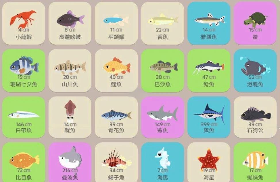 海钓鱼方法分类(海钓鱼类大全)