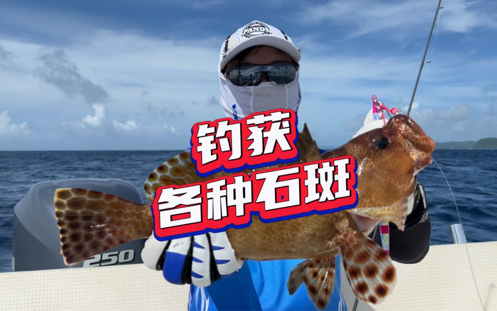 帕劳蓝鳍海钓(帕劳海水)