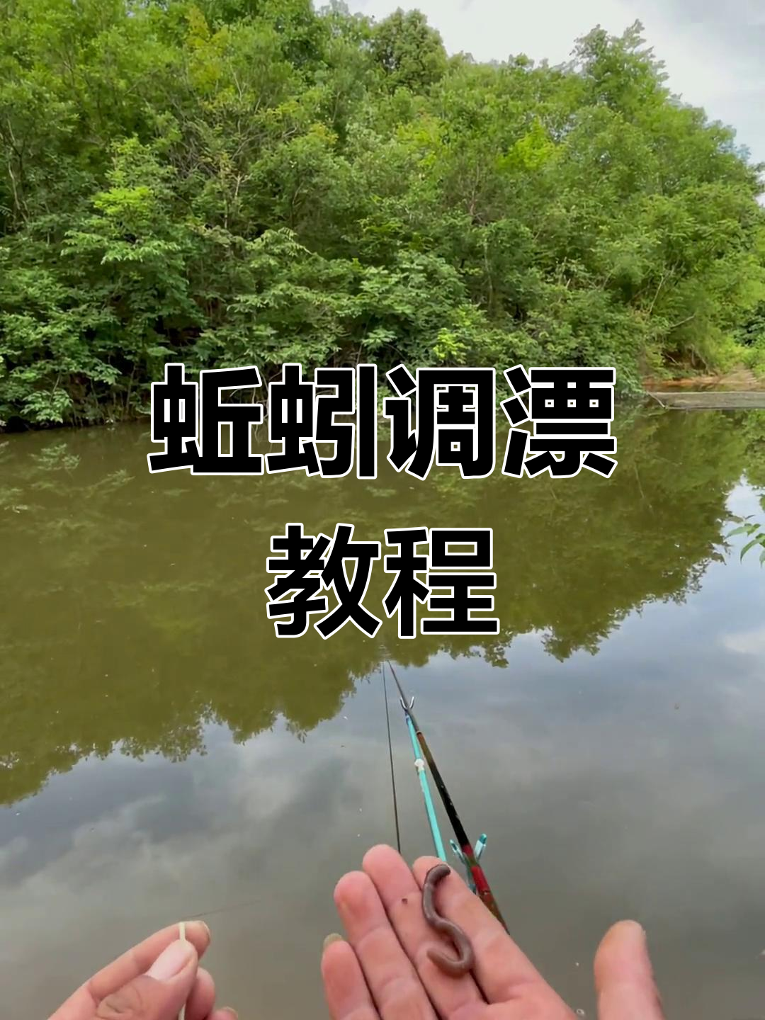 夏天用蚯蚓夜钓技巧(蚯蚓夜钓技巧视频)