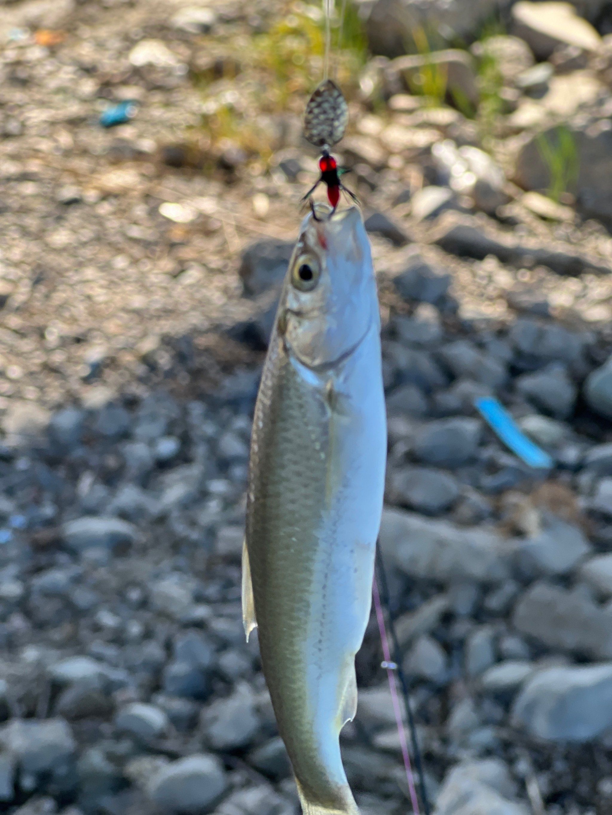 霸气路亚图片(路亚意境图片) 霸气路亚图片(路亚意境图片)