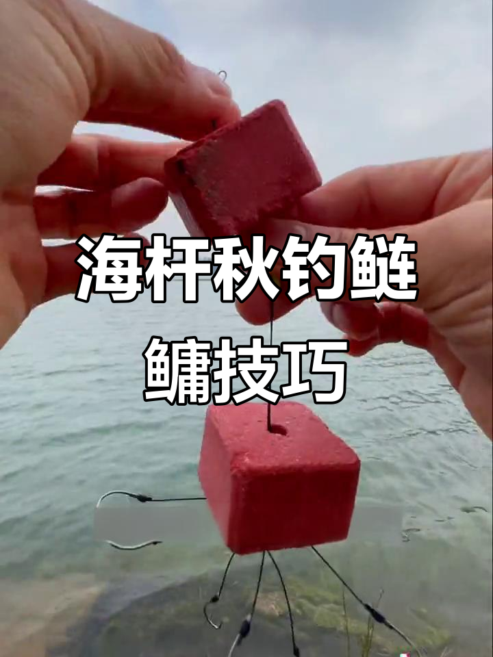 钓银鮈技巧(银钩钓鱼)