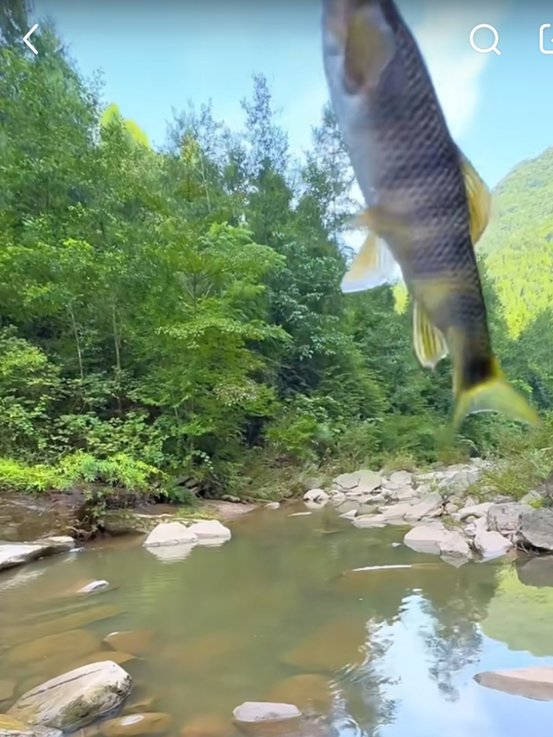 本溪大山渔具(五年级上册渔歌子)