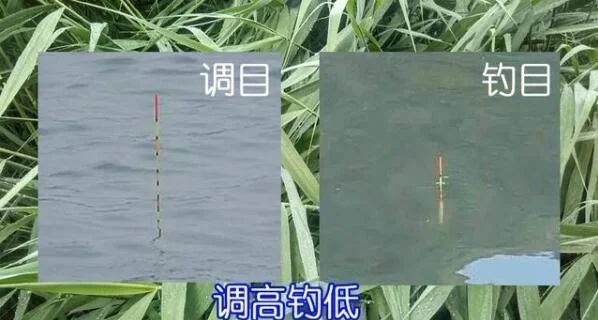 调低钓高目技巧(调高目钓低目图解)