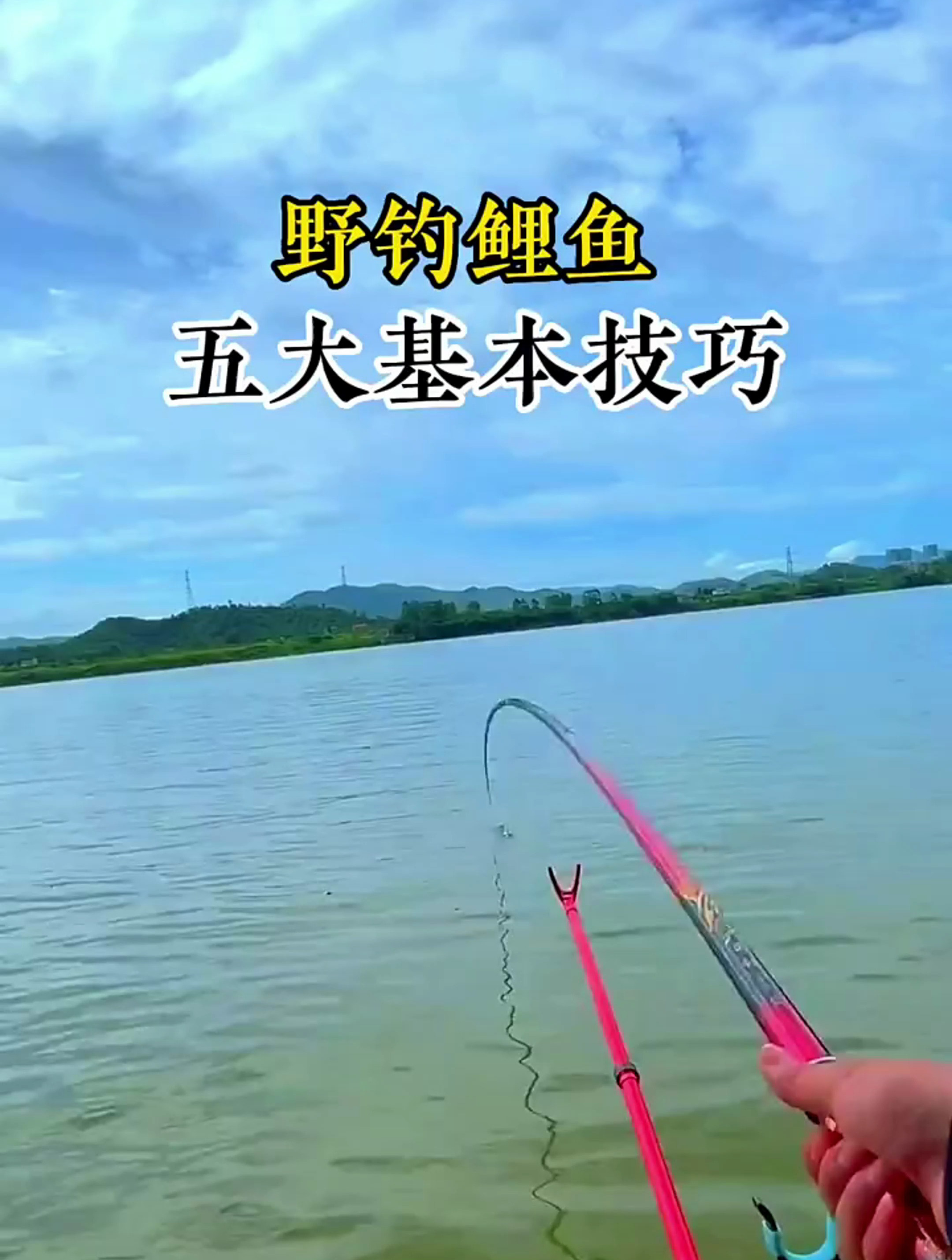 冬天钓鲤鱼视频技巧视频(冬天钓鲤鱼视频技巧视频大全)