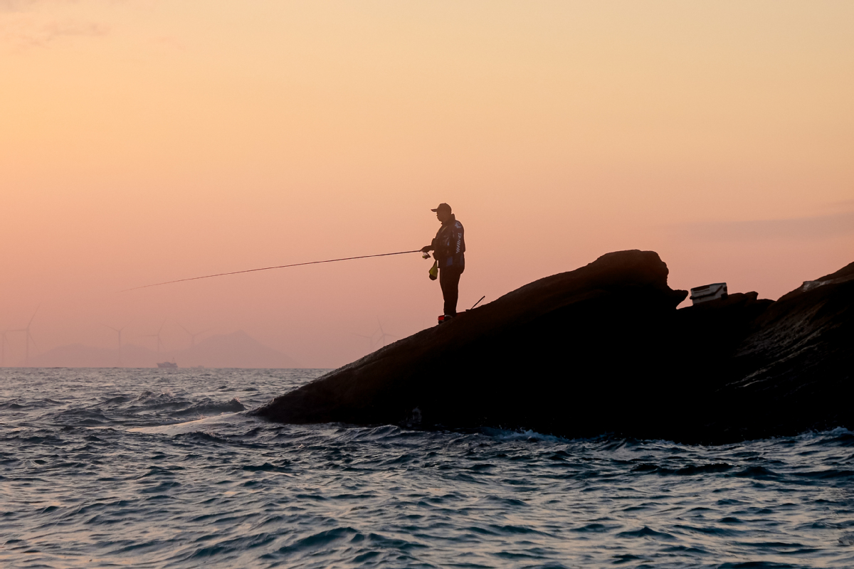 海钓打(海钓打窝笼使用图解)