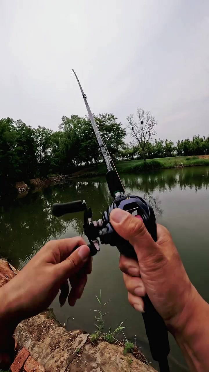 路亚鲶鱼杆子(路亚竿如何钓鲶鱼)