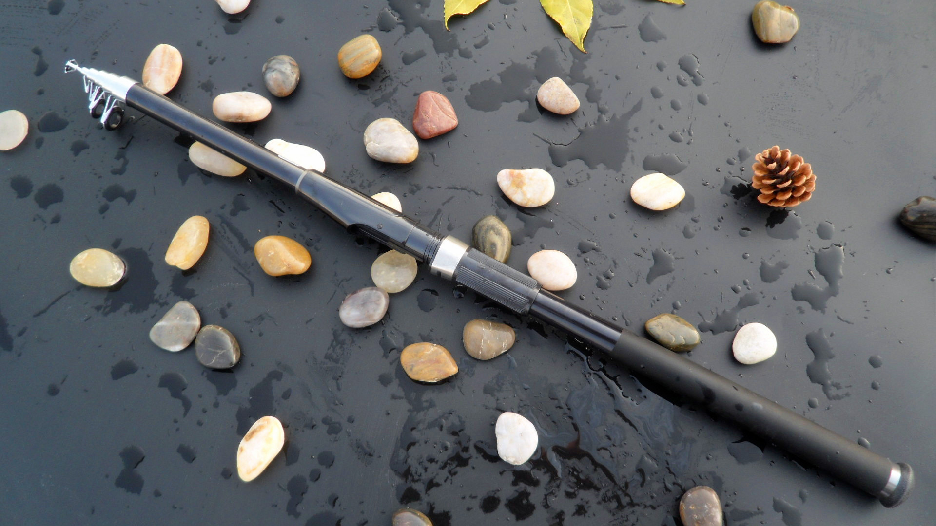 苏州府建多少渔具店(苏州府的鱼有什么用)