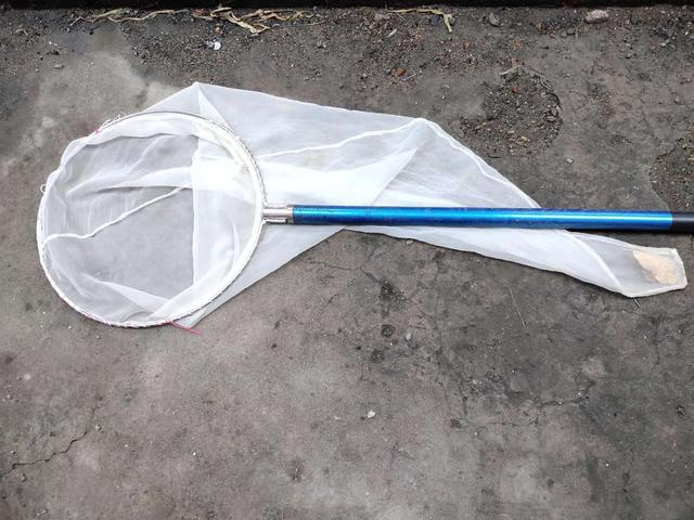 搜索鱼层技巧视频(钓鱼如何寻找鱼层)