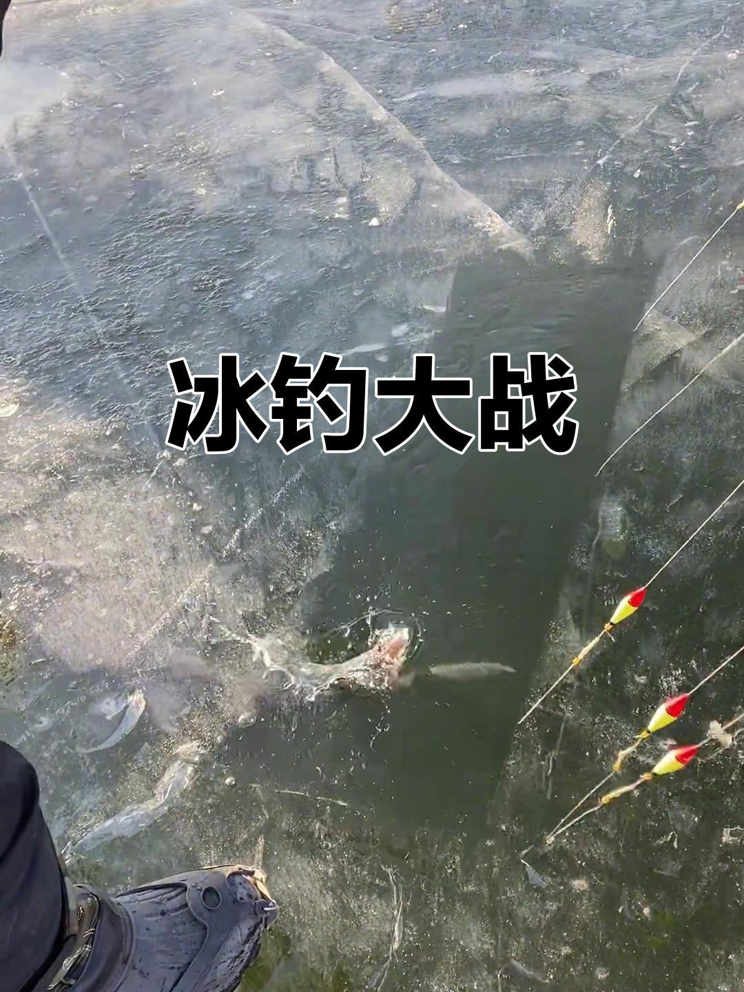 东北冰钓鱼技巧(东北冰钓钓多深)