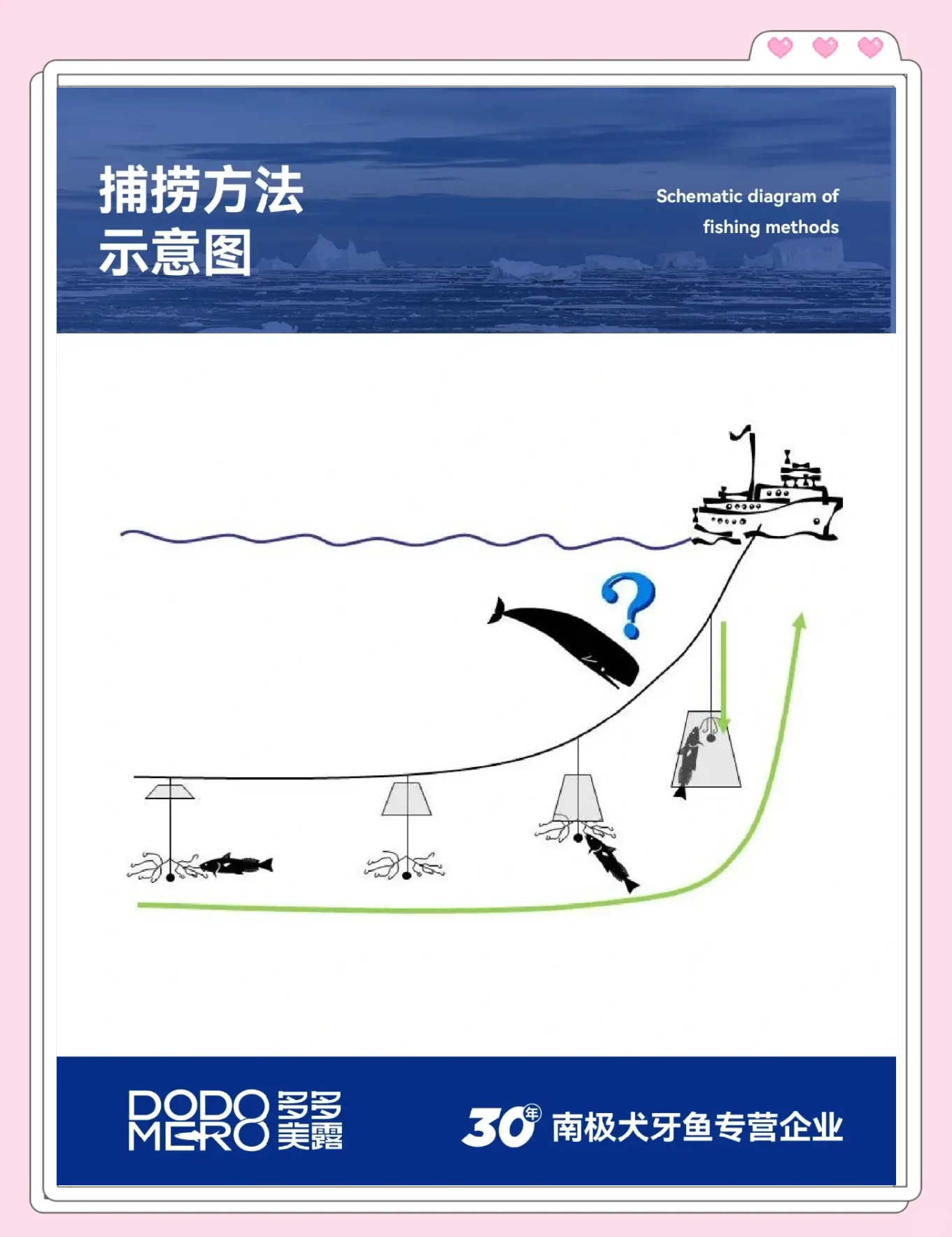 深海海钓方法(怎么钓深海鱼)