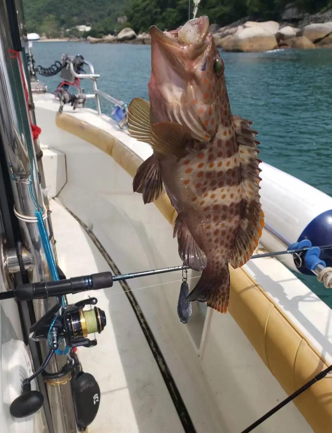 海钓没船咋搞(海钓没有浮标怎么钓)