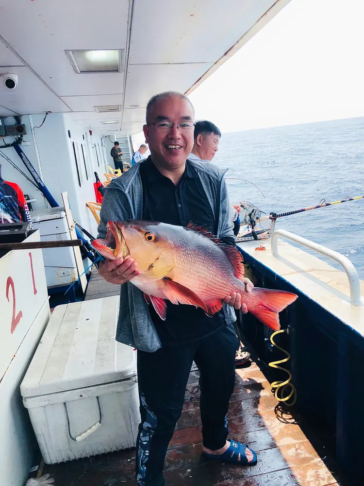 如何去南油海钓(如何去南油海钓鱼)