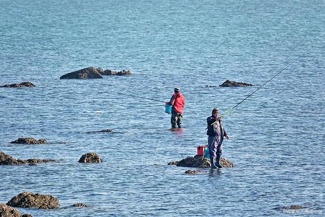 漳州哪里免费海钓(漳州哪里可以海钓)