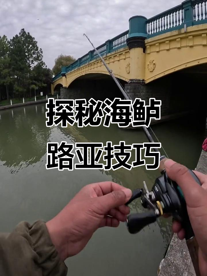 路亚海钓鲈鱼线组(路亚海钓鲈鱼线组搭配)