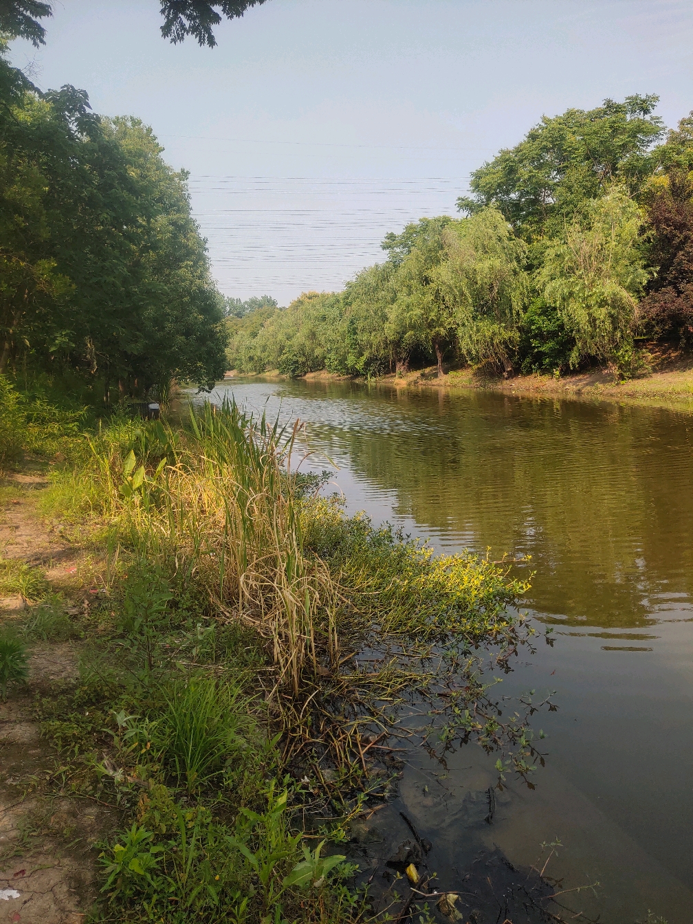 镇海有海钓地方吗(镇海区钓鱼的地方)
