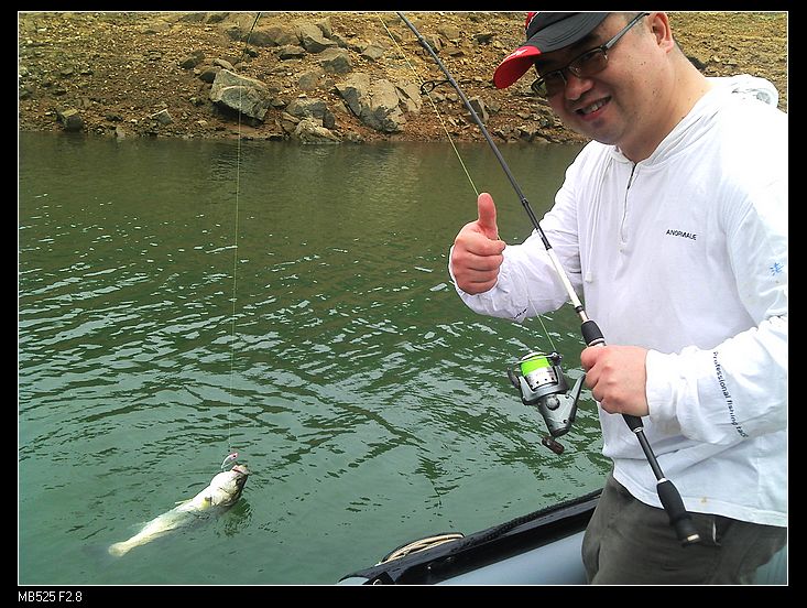 路亚之星和路亚达人(道具达人和小屋之星哪个好)