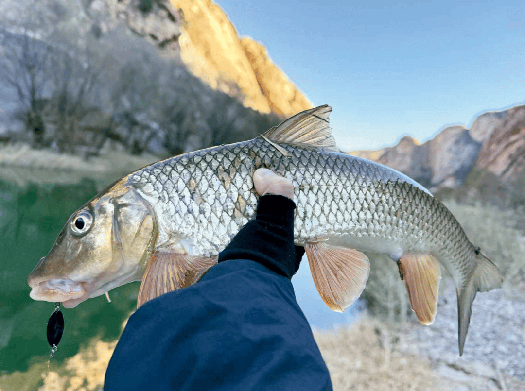宜丰路亚(为什么禁止路亚钓)