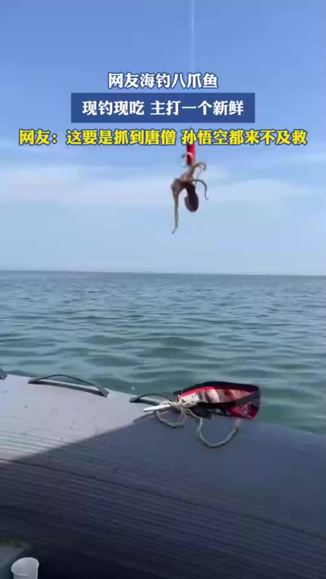 海钓被鱼攻击(海钓被炮击)