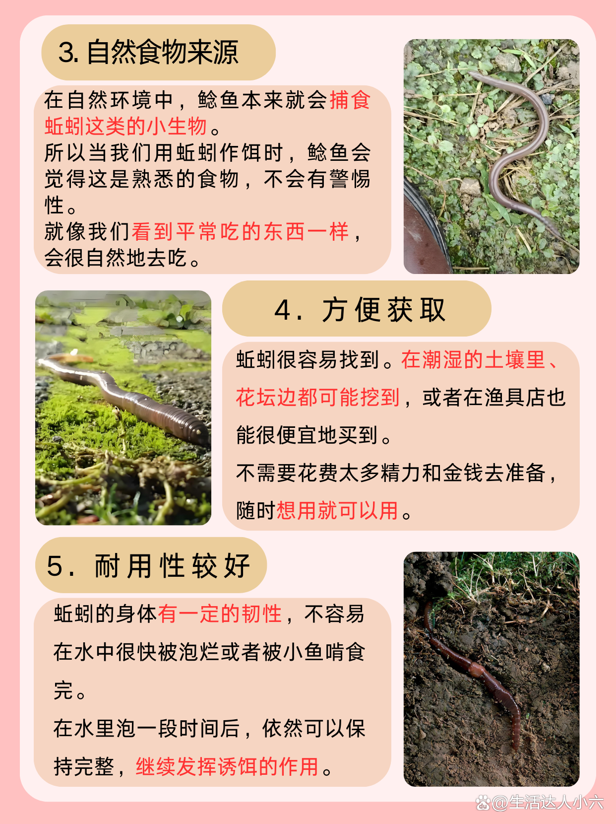 钓鱼用什么饵料比较(钓鱼用什么鱼饵?)