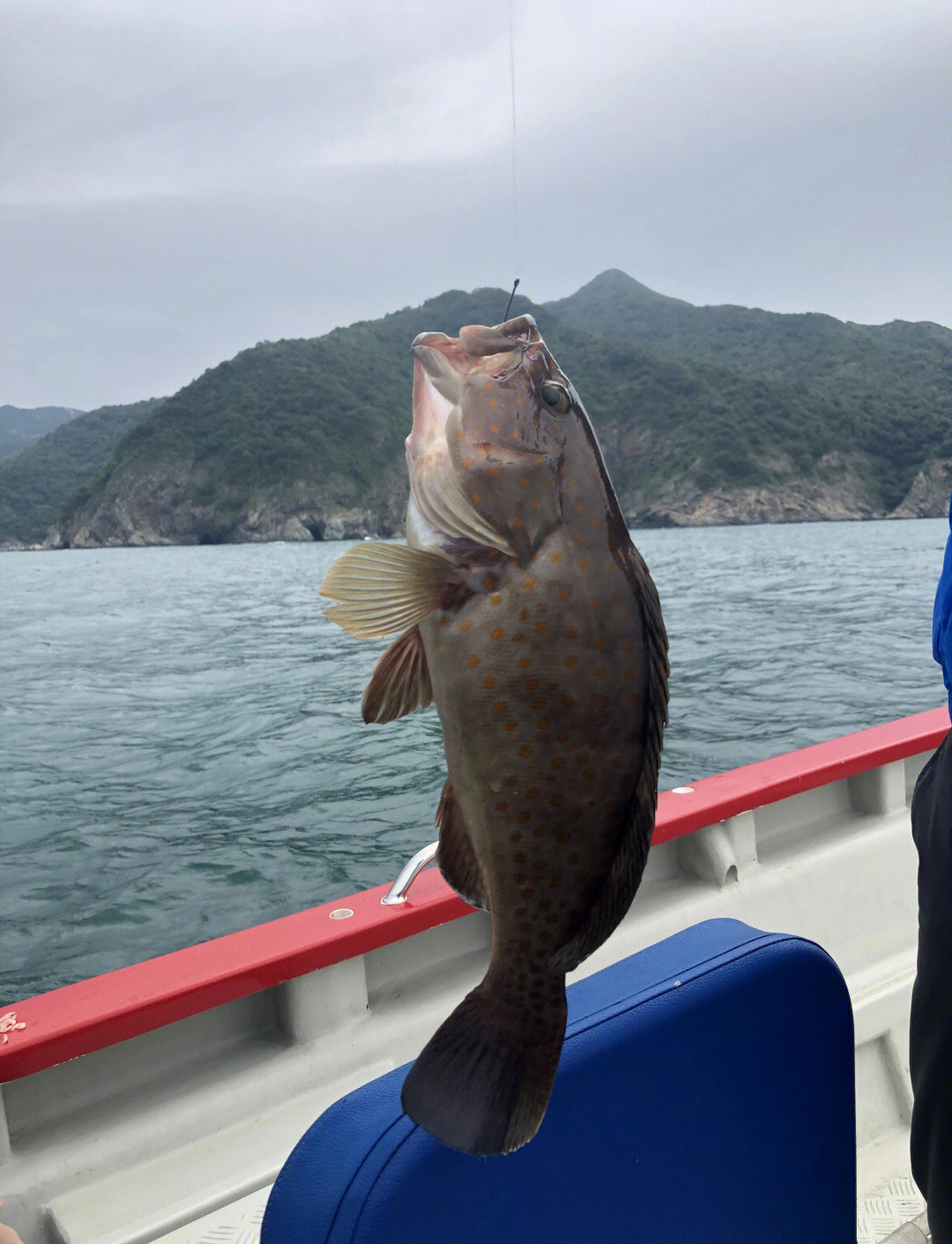 恰普其海钓鱼(恰甫其海水利枢纽) 恰普其海钓鱼(恰甫其海水利枢纽)