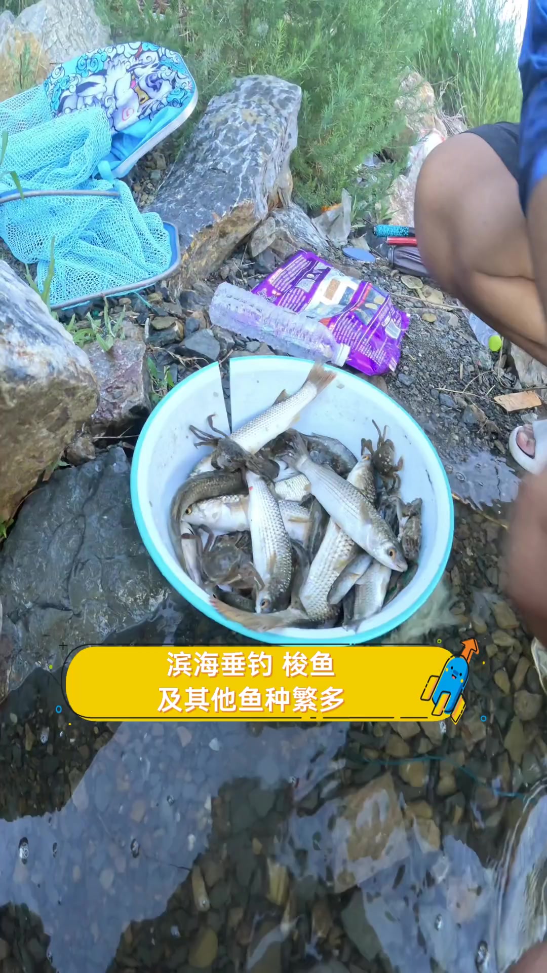 海钓视频梭鱼钓组(海钓梭鱼一般是钓底还是钓浮)