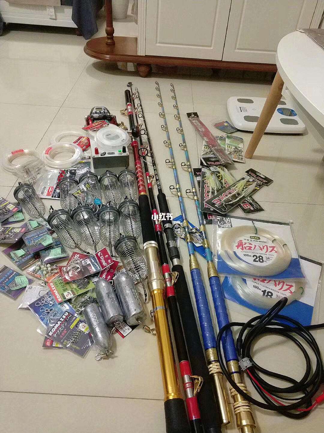 海钓玩家(海钓玩家玩转洛克尼亚)