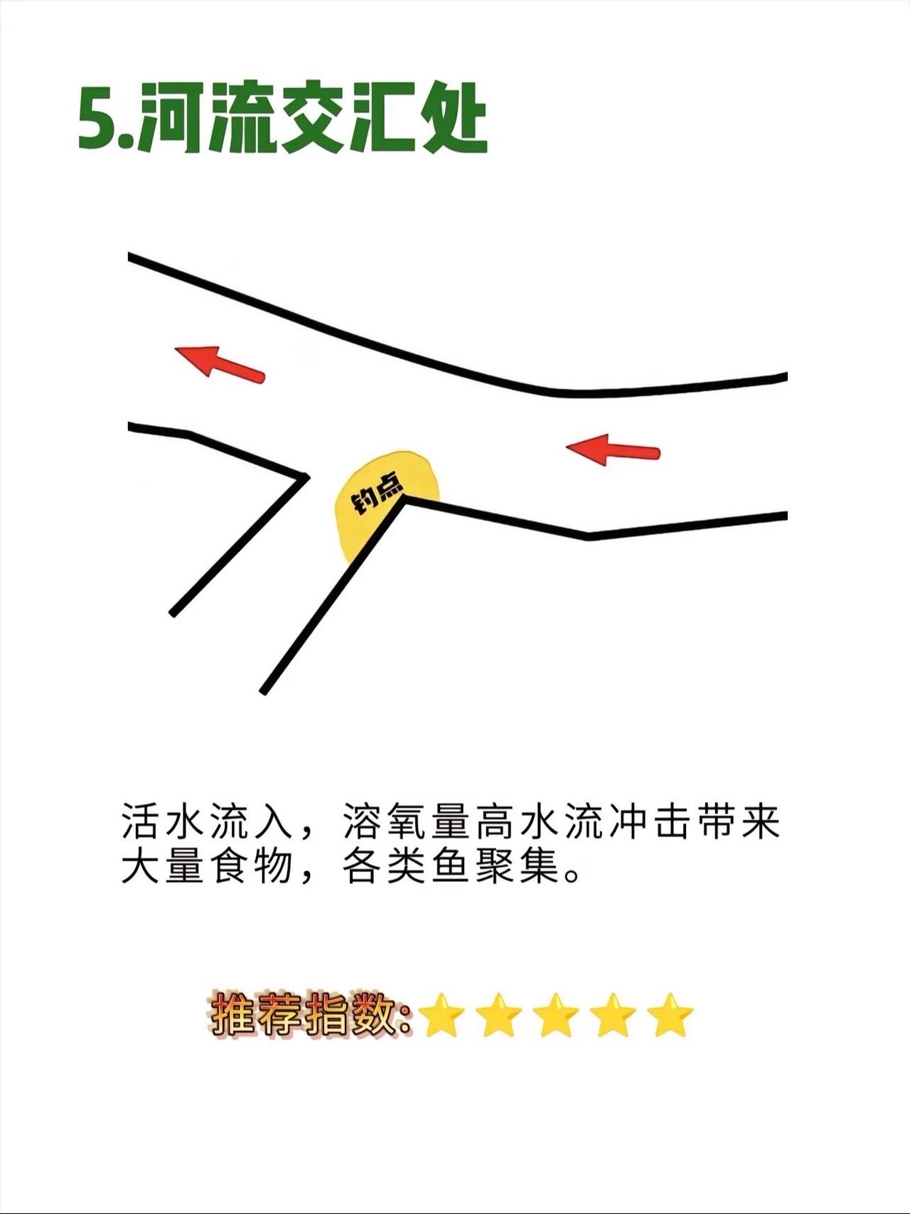 黑坑钓位风向选择技巧(黑坑风大怎么钓鱼)