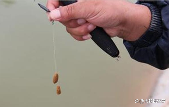 米饭能和饵料钓鱼吗(米饭能钓鱼嘛)