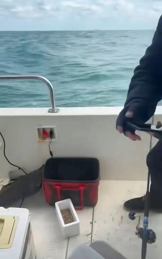 上海附近有海钓吗(上海附近有海钓吗多少钱)