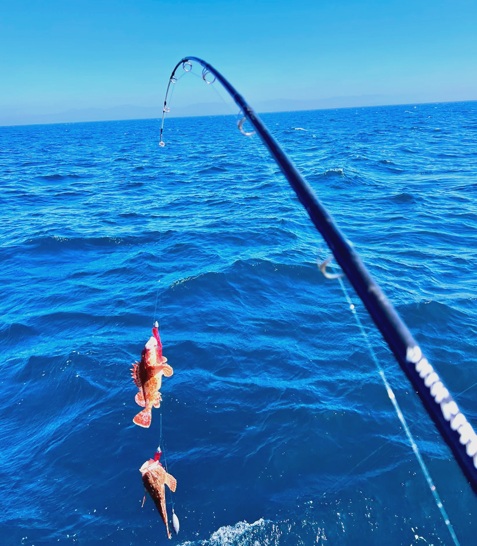 海钓岸(海钓岸边钓线组图解)