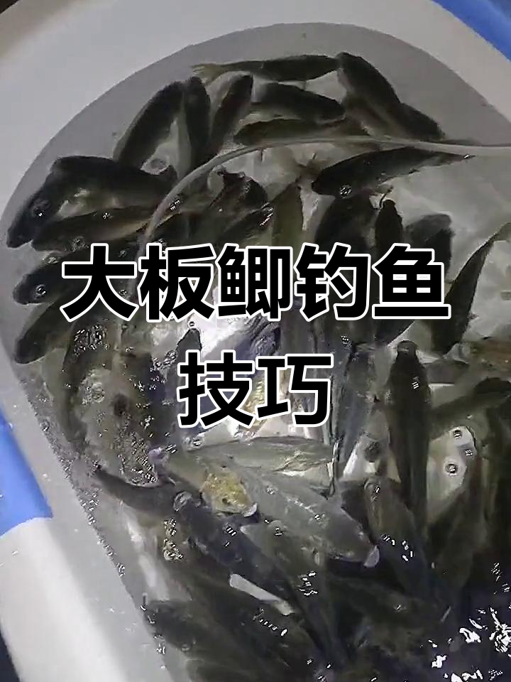 酒米打窝技巧(酒米打窝技巧分享)