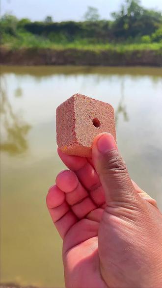 酒米打窝技巧(酒米打窝技巧分享)