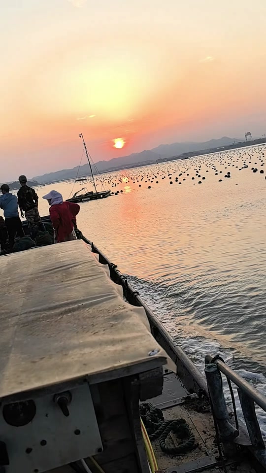 鱼排海钓的地方(鱼排海钓的地方是哪里)