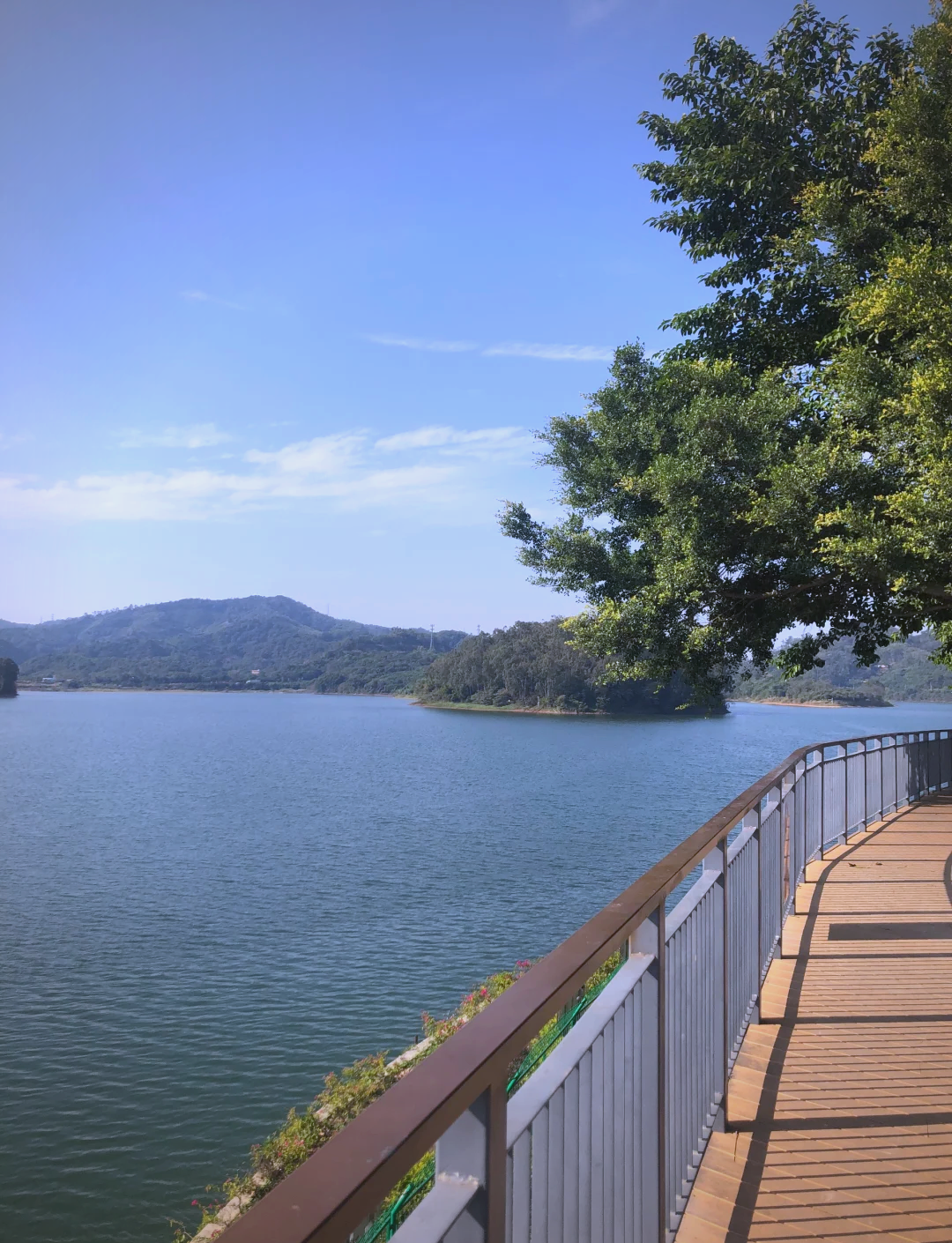 和龙水库打路亚(打路亚被抓了会怎么样)