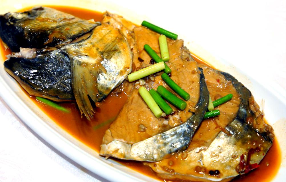 路鲅鱼技巧(鲅鱼路亚怎么钓)