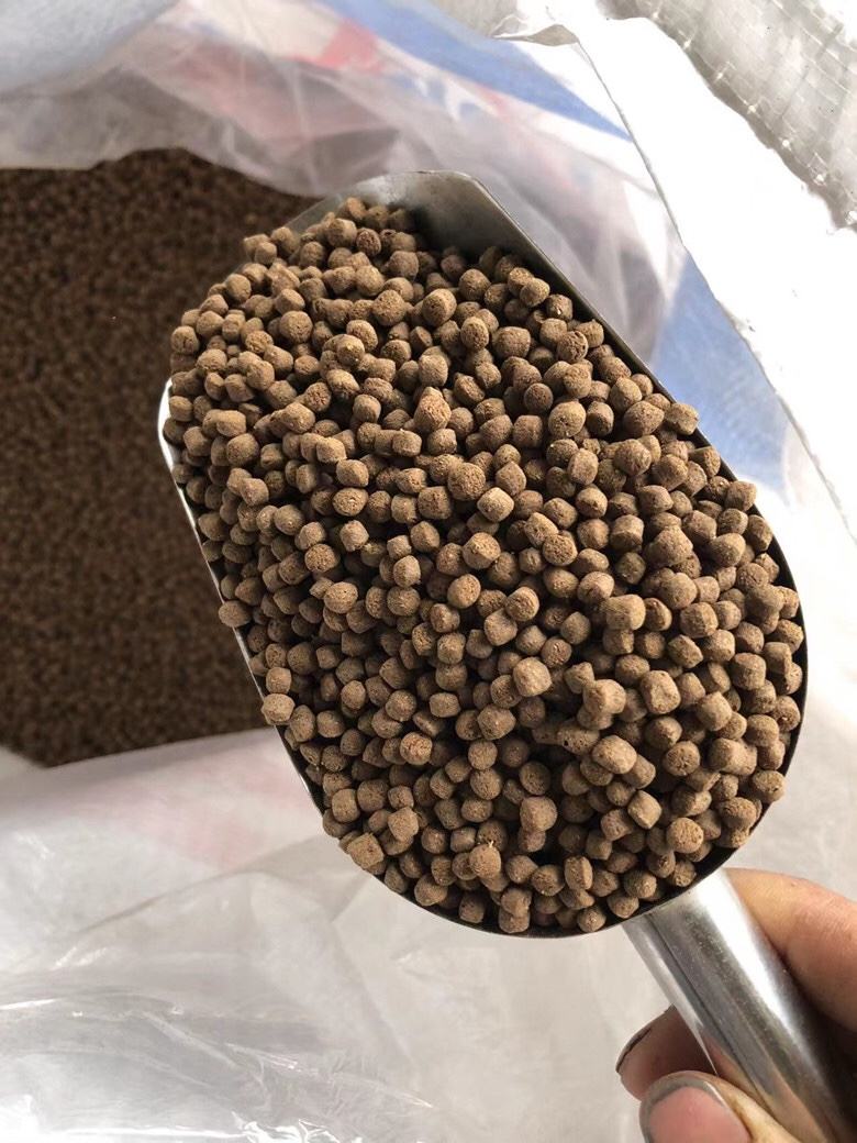 海钓最佳饲料(海钓最佳饲料是什么)